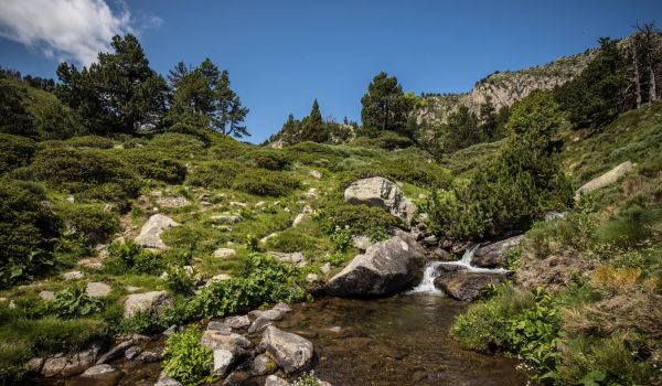 Camping Argelès-sur-Mer Ciela Village Les Marsouins Mosset