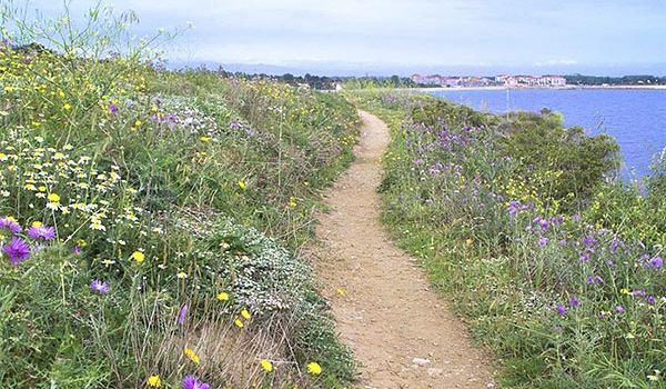 Camping Argelès-sur-Mer Ciela Village Les Marsouins Sentier Littoral